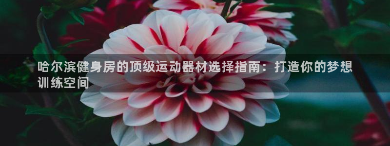 意昂3娱乐下载：哈尔滨健身房的顶级运动器材选择指南：