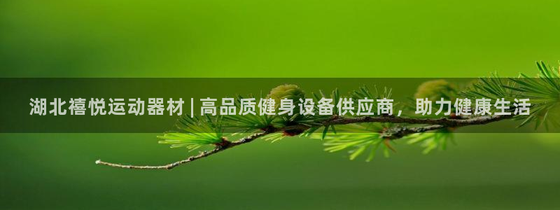 意昂体育3招商电话号码是多少号:湖北禧悦运动器材 | 高品质